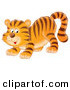 Critter Clipart of a Cute and Playful Tiger Cub Crouching down on His Front Legs, Glancing Back by Alex Bannykh